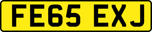 FE65EXJ