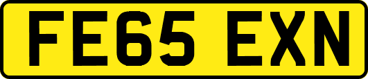 FE65EXN