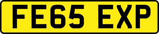 FE65EXP