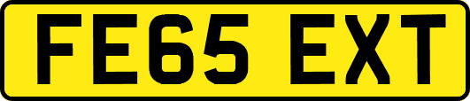 FE65EXT