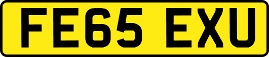 FE65EXU