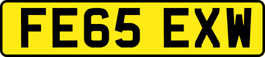 FE65EXW