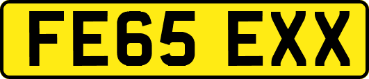 FE65EXX