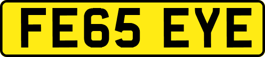 FE65EYE