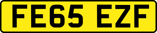 FE65EZF