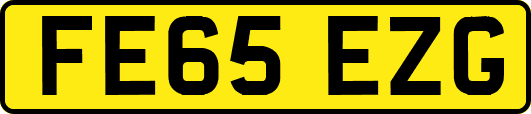 FE65EZG