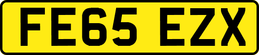 FE65EZX