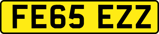 FE65EZZ