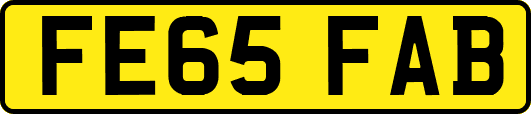 FE65FAB