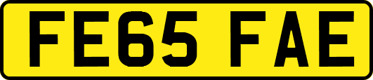 FE65FAE