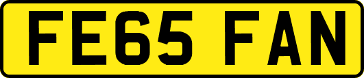 FE65FAN