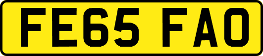FE65FAO
