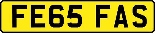 FE65FAS