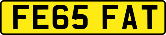 FE65FAT