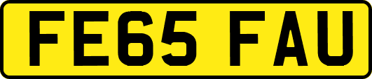 FE65FAU
