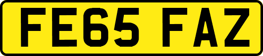 FE65FAZ