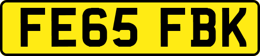 FE65FBK