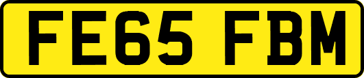 FE65FBM