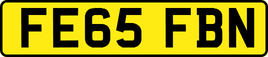 FE65FBN