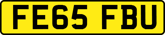 FE65FBU