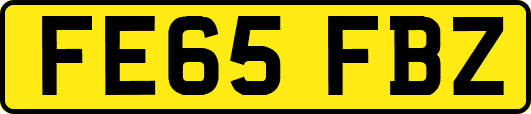 FE65FBZ