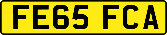 FE65FCA