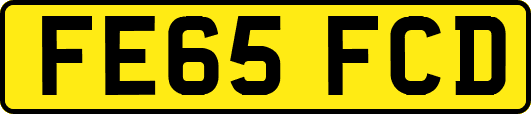 FE65FCD