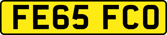 FE65FCO