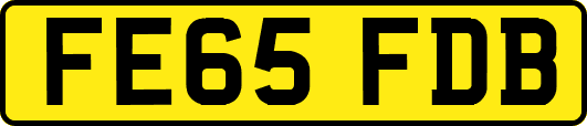 FE65FDB
