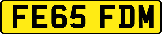 FE65FDM