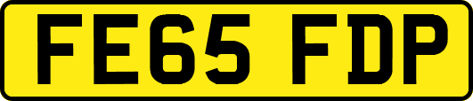 FE65FDP