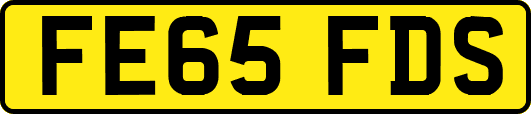 FE65FDS