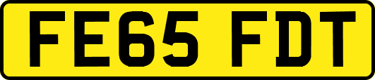 FE65FDT