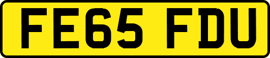 FE65FDU