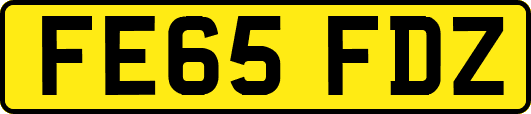 FE65FDZ