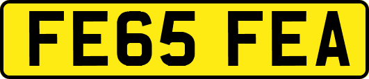 FE65FEA