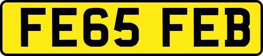FE65FEB