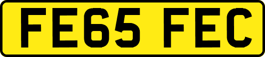 FE65FEC