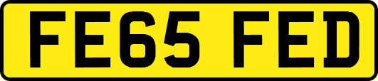 FE65FED