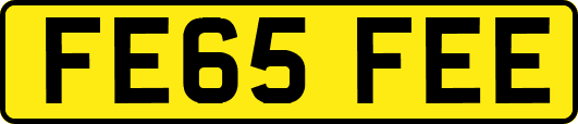 FE65FEE