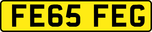 FE65FEG