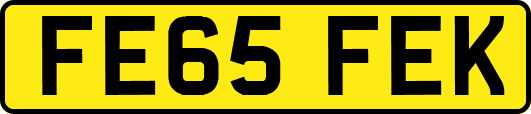 FE65FEK