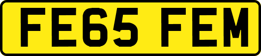 FE65FEM