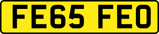 FE65FEO