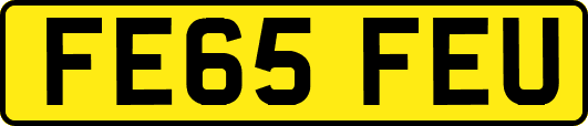 FE65FEU