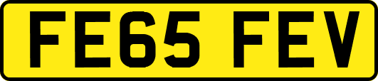 FE65FEV