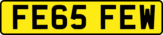 FE65FEW