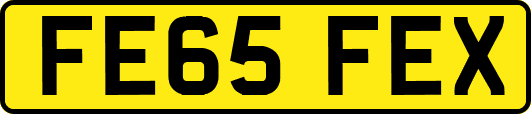 FE65FEX