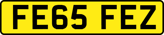 FE65FEZ