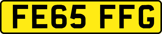 FE65FFG